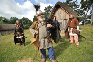 Vikings